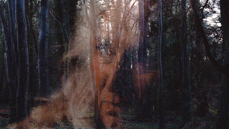 кадр из фильма Всё, что тебе нужно, это смерть