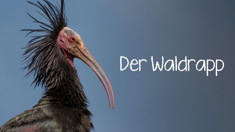 кадр из фильма Der Waldrapp: Zugvogel im Aufwind