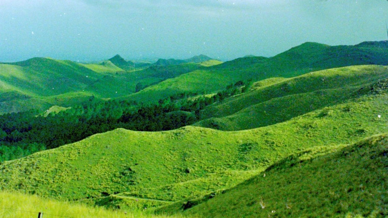 кадр из фильма Ceniza Verde