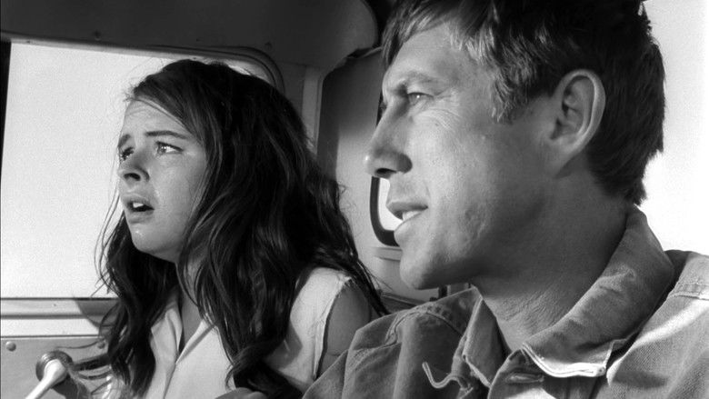 кадр из фильма Быстрая Кошечка! Убей, Убей!