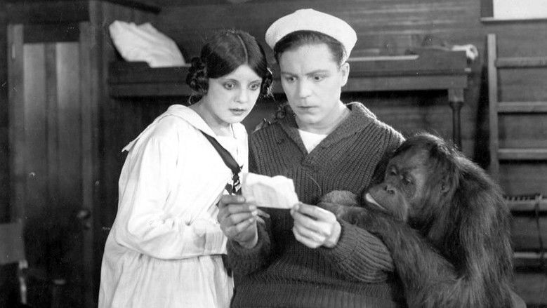 кадр из фильма Such a Little Pirate