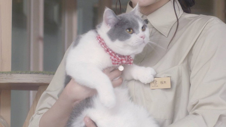 кадр из фильма 猫カフェ