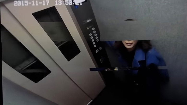 кадр из фильма Fake Documentary 