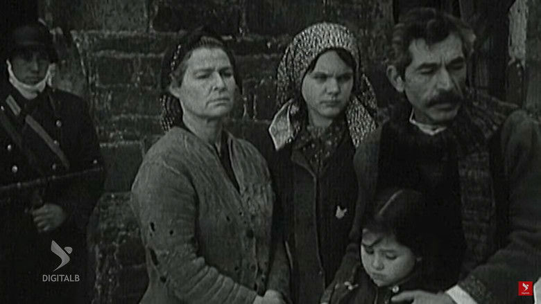 кадр из фильма Dollia e dasmës sime