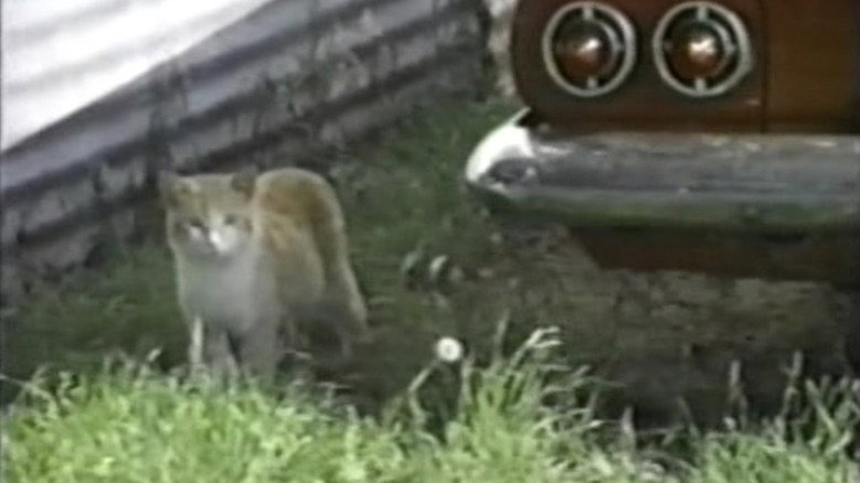 кадр из фильма Weather Diary 1