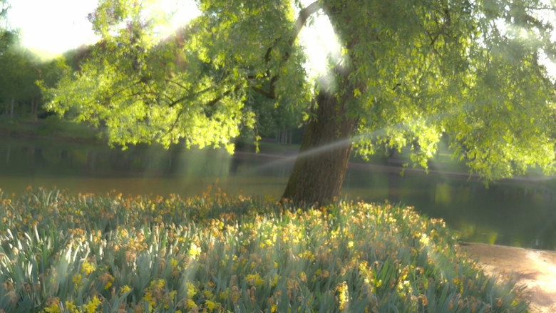 кадр из фильма Newton's cradle