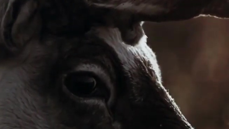 кадр из фильма Идущие в пламя