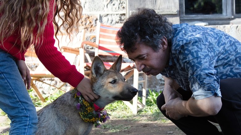 кадр из фильма Мой волк