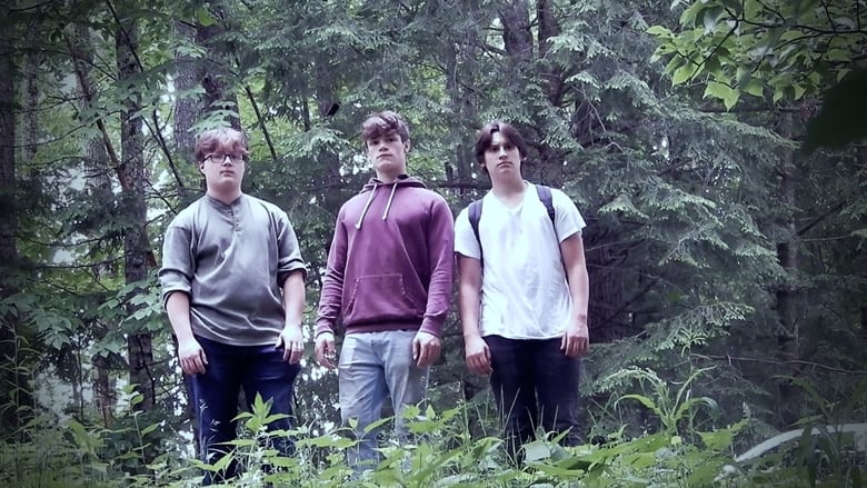 кадр из фильма Lost In The Woods