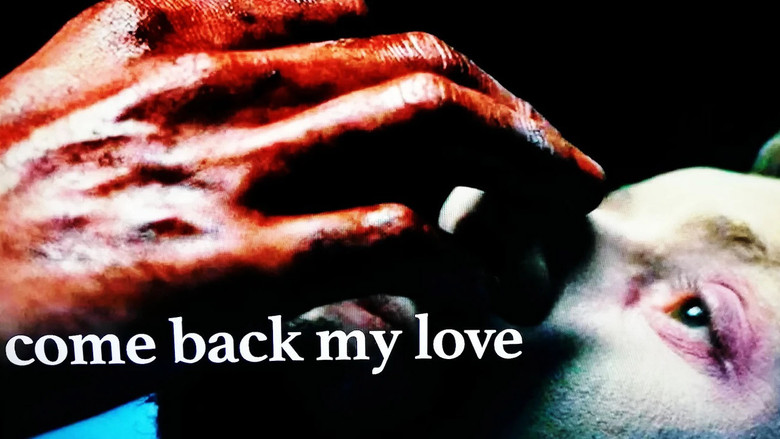 кадр из фильма Reviens mon amour