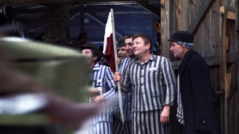 кадр из фильма Пейзаж после битвы