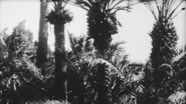 кадр из фильма Festa Nuziale