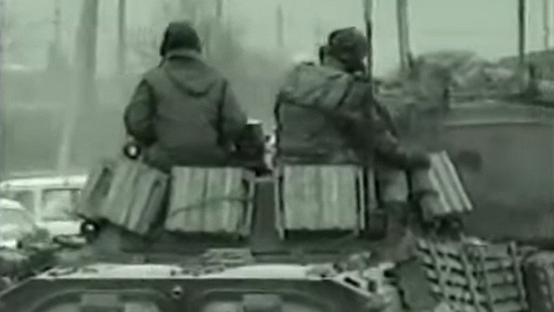 Dark Forest in the Moutains