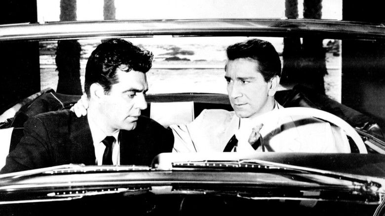 кадр из фильма Братья Рико