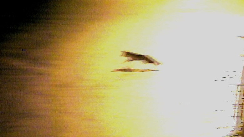 кадр из фильма Красная дорога