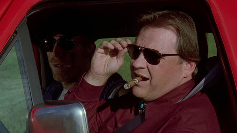 кадр из фильма Чёрный пёс