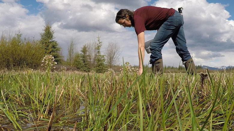 кадр из фильма First We Eat
