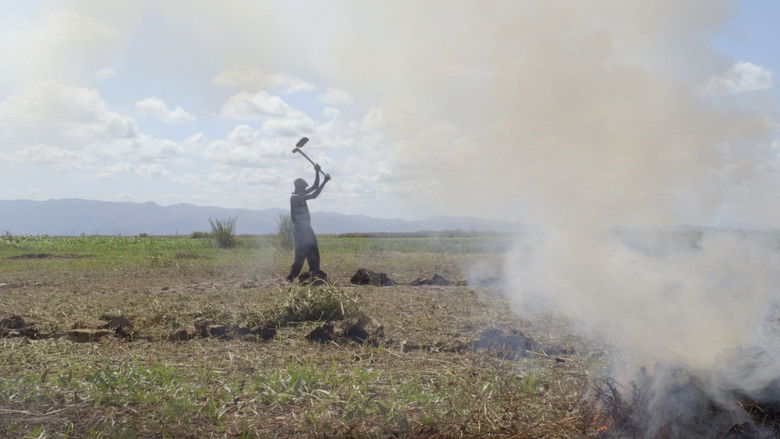 кадр из фильма Les Dépossédés