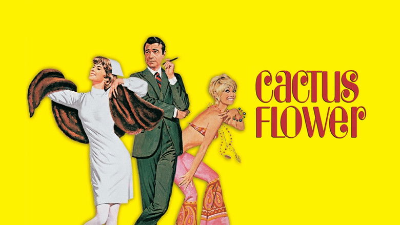 кадр из фильма Цветок кактуса