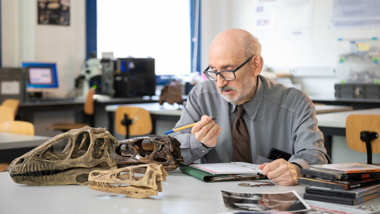 кадр из фильма El valle de Concavenator