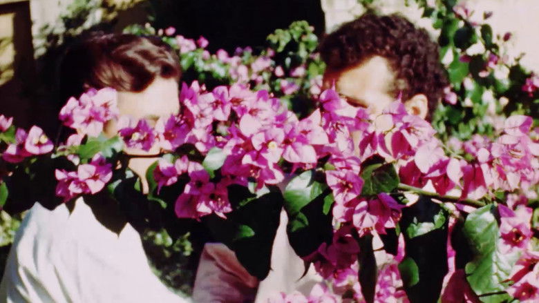 кадр из фильма Nus Masculins