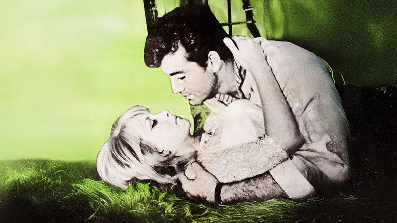 кадр из фильма Ölüm Bizi Ayıramaz