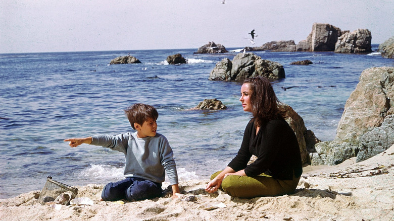 кадр из фильма Кулик