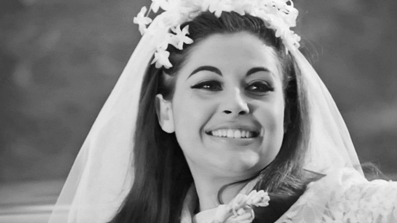 кадр из фильма Τρελλός, Παλαβός και Βέγγος