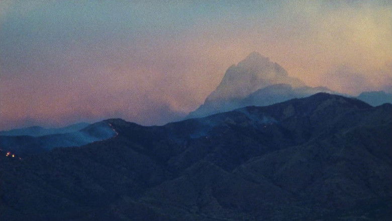 кадр из фильма Море, море