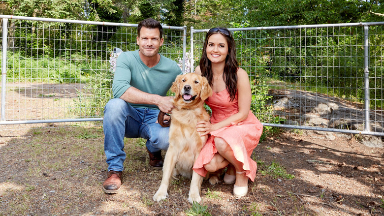 кадр из фильма Любовь и Солнце