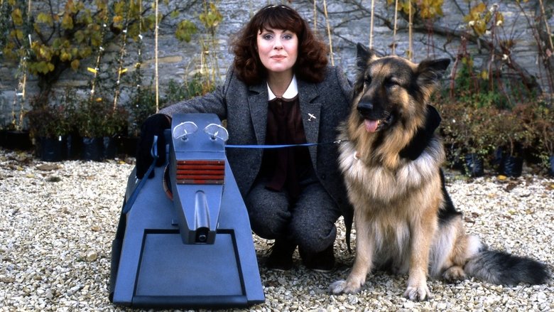 кадр из фильма K-9 and Company: A Girl's Best Friend