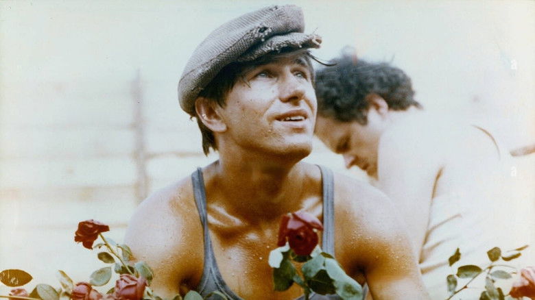 кадр из фильма Человек из мрамора