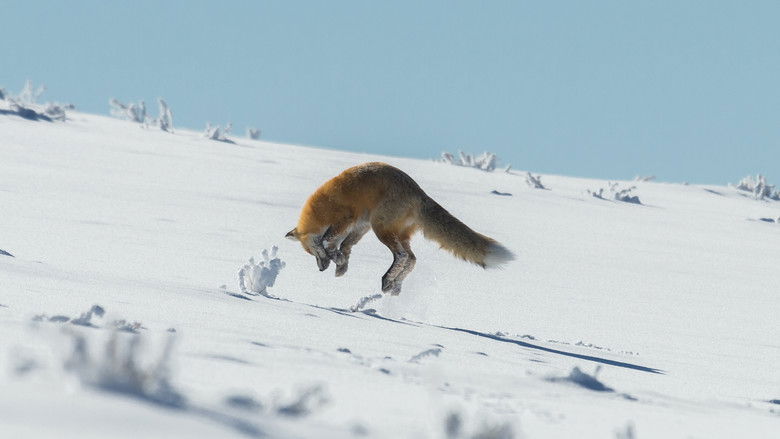 кадр из фильма Yellowstone
