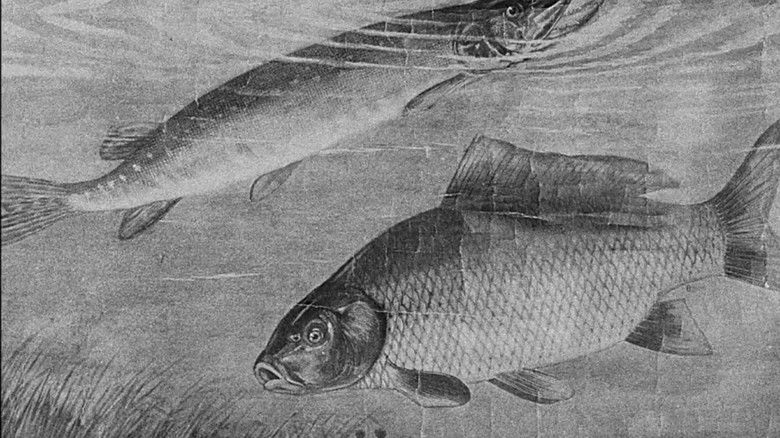 кадр из фильма Piscicultura