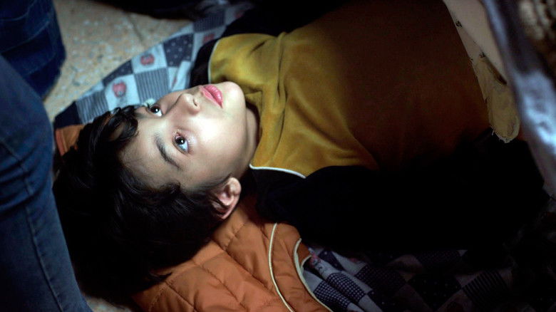 кадр из фильма Удивительная зубатка