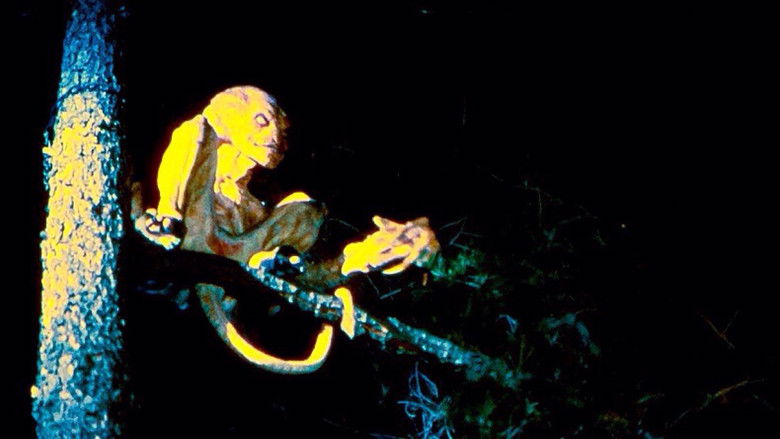 кадр из фильма Тыквоголовый