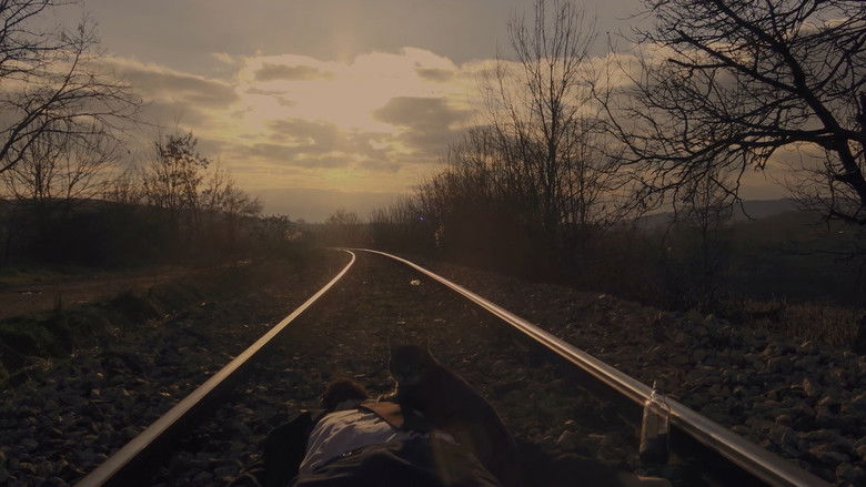 кадр из фильма Sam