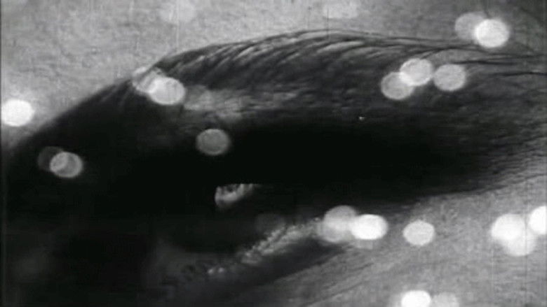 кадр из фильма Triptih o materiji i smrti