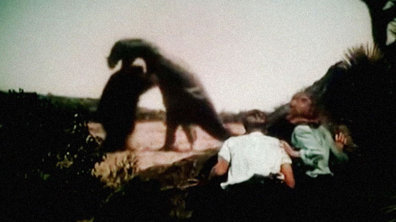 кадр из фильма Unknown Island