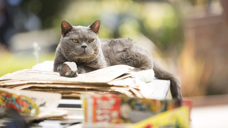 кадр из фильма Убийство кота