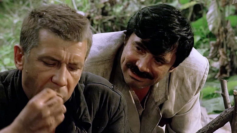 кадр из фильма Перед рассветом