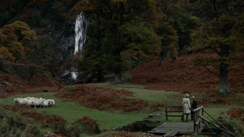 кадр из фильма Видения