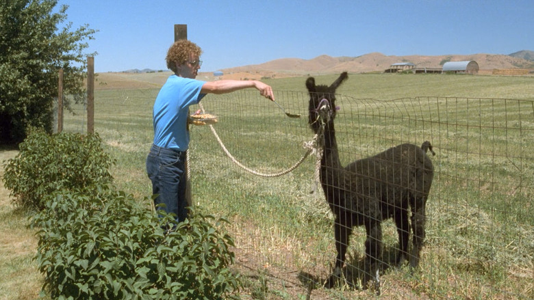 кадр из фильма Наполеон Динамит