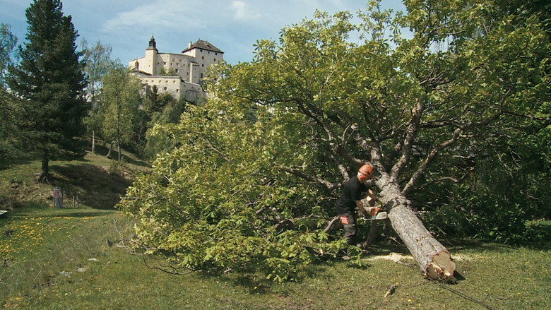 кадр из фильма Nos chastè – Das Schloss Tarasp und seine märchenhafte Geschichte