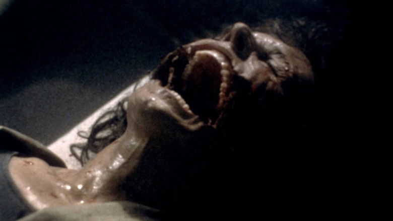 кадр из фильма Ночной полёт