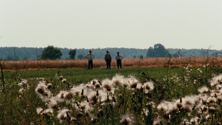 кадр из фильма Z daleka widok jest piękny