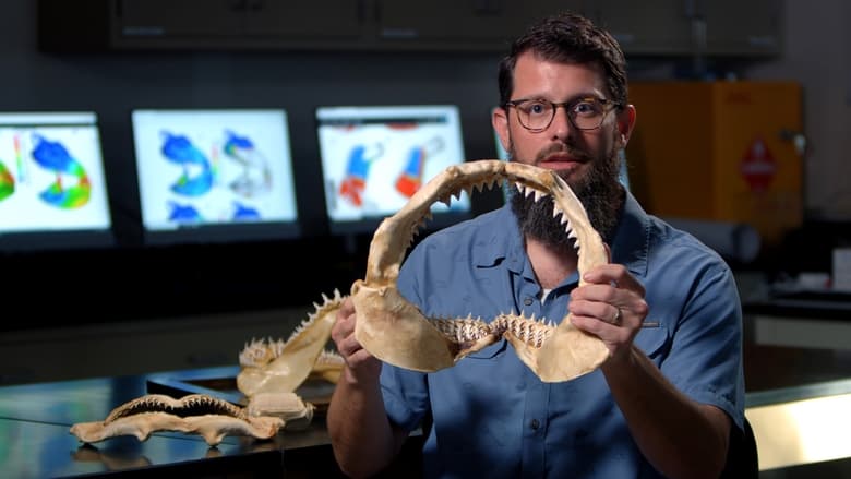 кадр из фильма Суперспособности акул