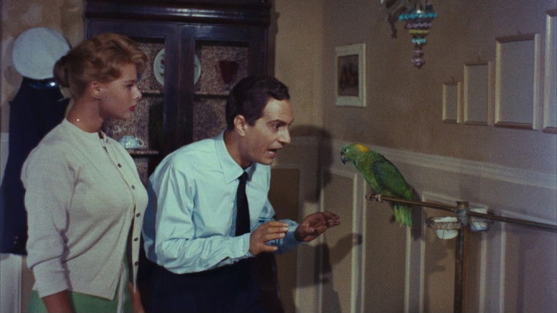 кадр из фильма Венеция, луна и ты