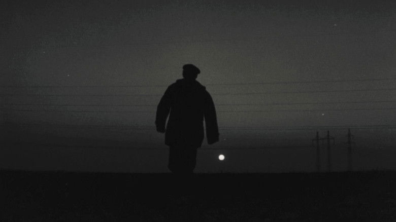 кадр из фильма Цветок на камне