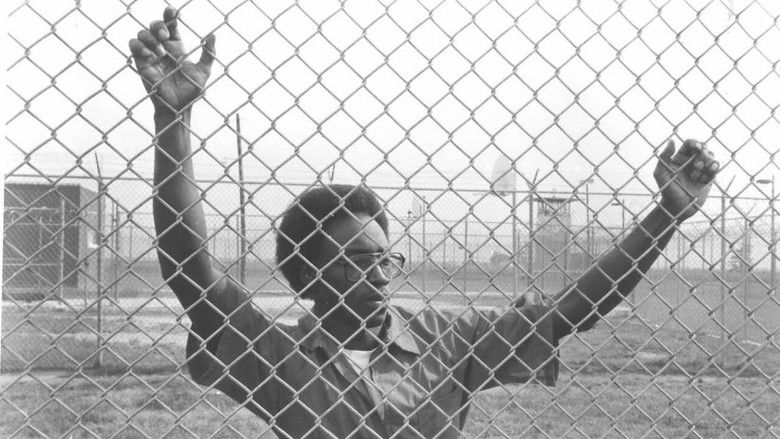 кадр из фильма Fourteen Days in May